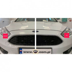 K2 NUTA ANTI-INSECT PŁYN DO USUWANIA OWADÓW SMOŁY